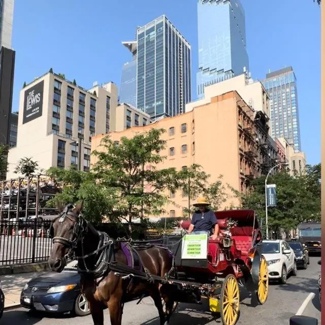 Hudson Yard 408 Hostel New York